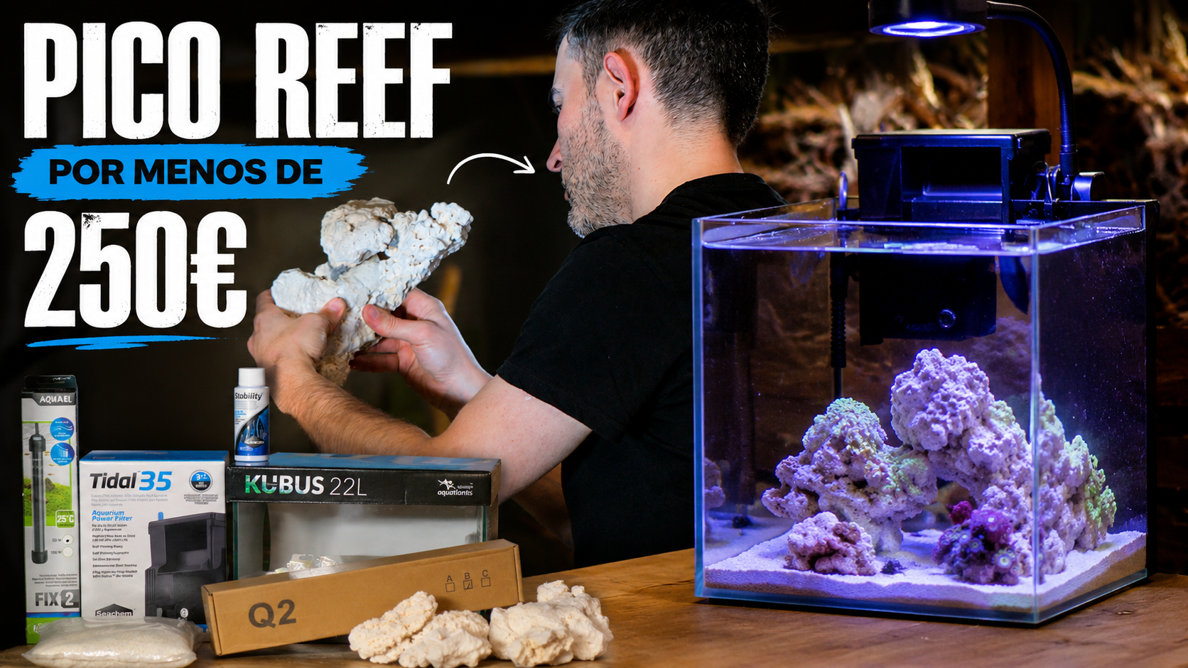 Pico Reef Essential – Complete Budget Friendly Kit